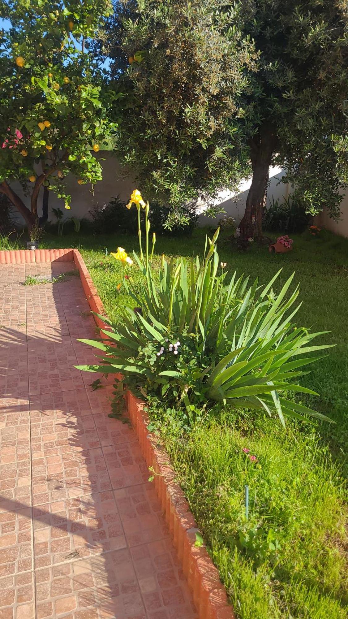 Kokky'S Home Su Forti Zewnętrze zdjęcie